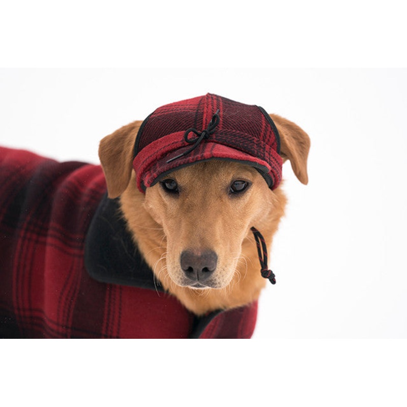 Critter Kromer