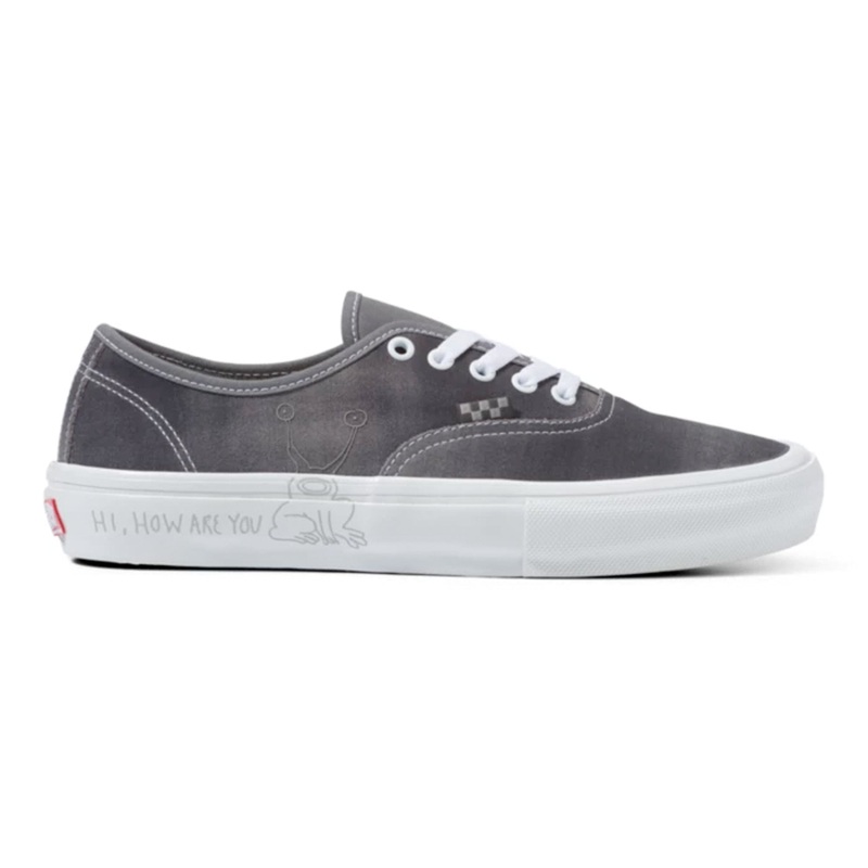 Vans Authentic Men’s Shoes – Daniel Johnston Grey