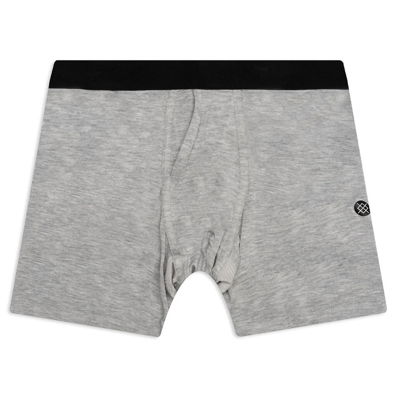 Stance Staple Standard 6in Men’s Boxer Briefs – Heather Grey