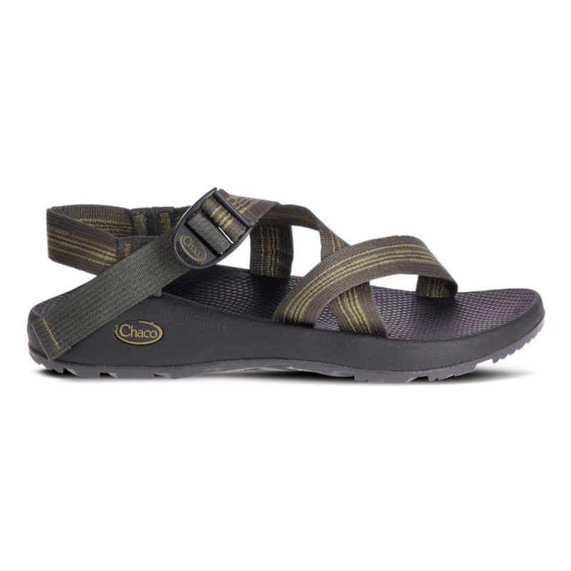 Chaco Men’s Z1 Classic in Bluff Hunter