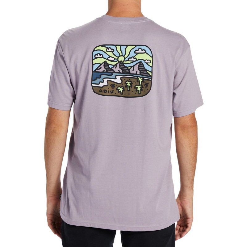 Billabong Shine Short Sleeve Tee in Purple Ash