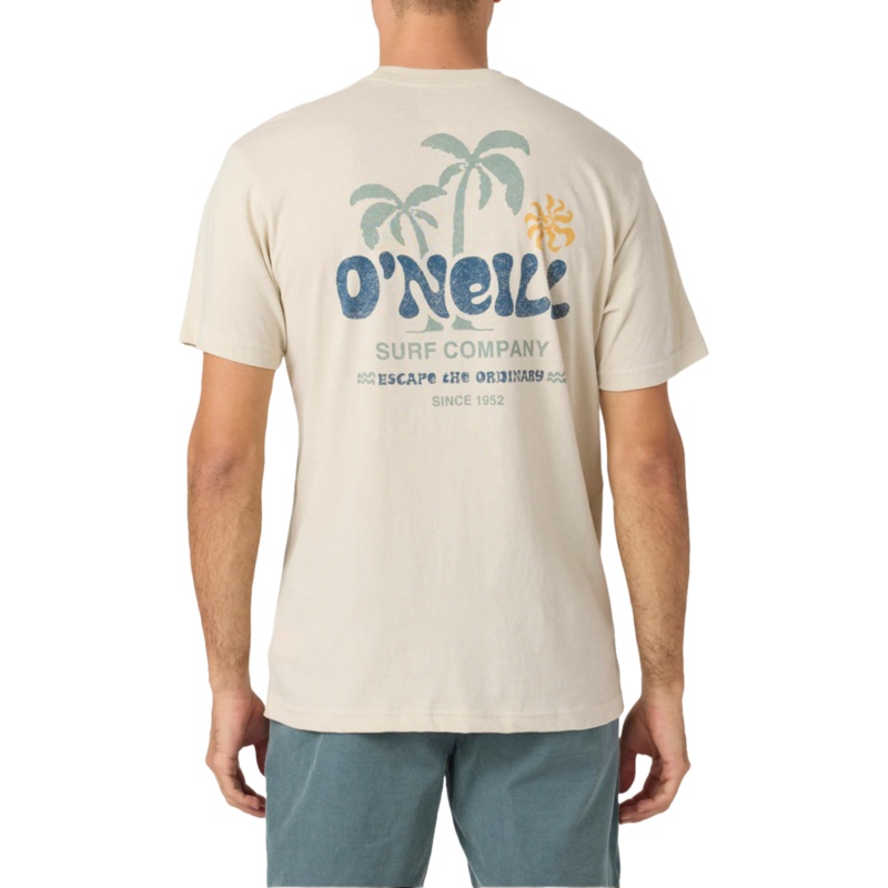 O’Neill Loose Tee in Light Khaki